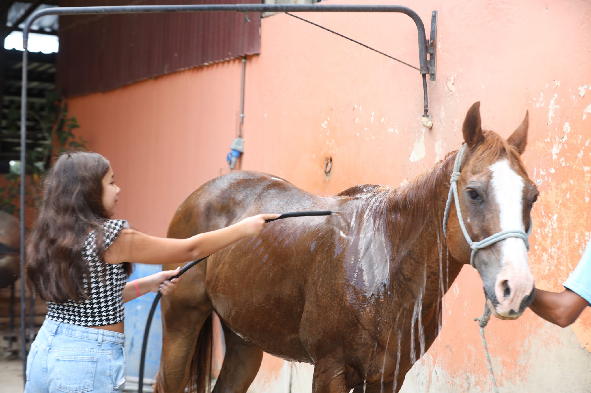 Foto: Clarildo Menezes