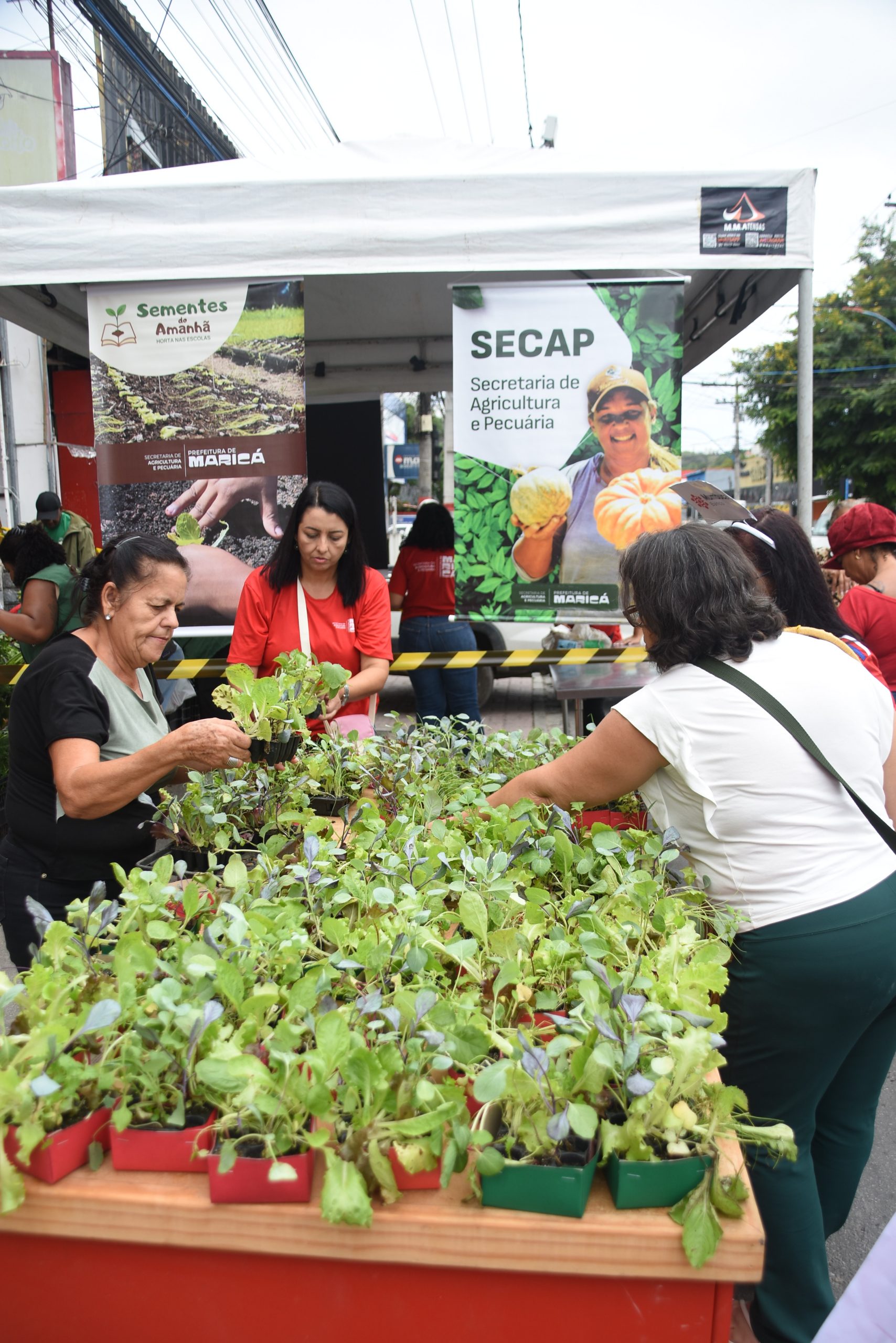 Foto: Clarildo Menezes