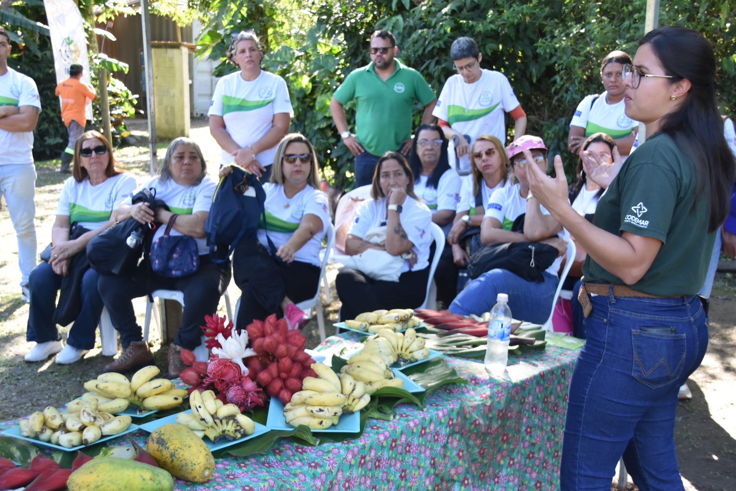 Foto: Clarildo Menezes