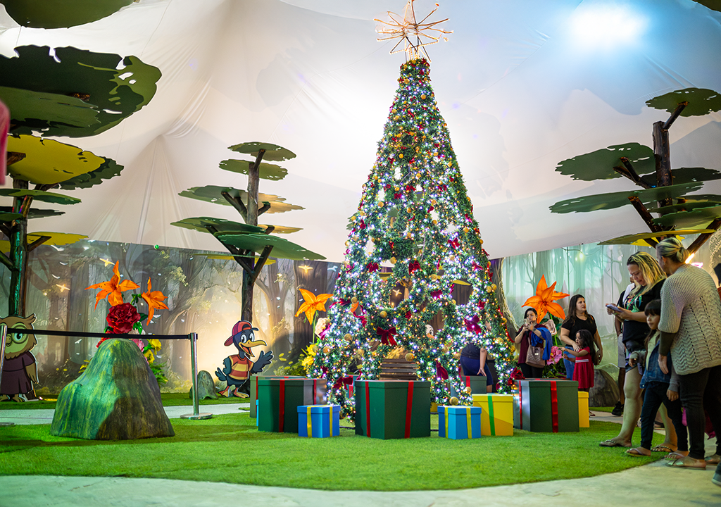 Natal Brasilidade chega ao terceiro fim de semana/Foto/Bernardo Gomes