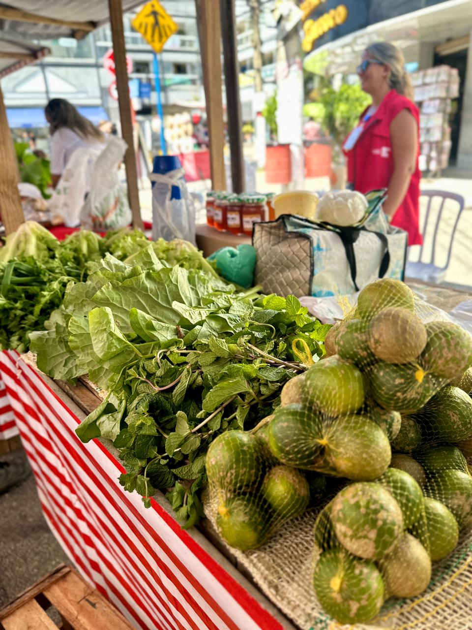 Foto: Divulga&ccedil;&atilde;o