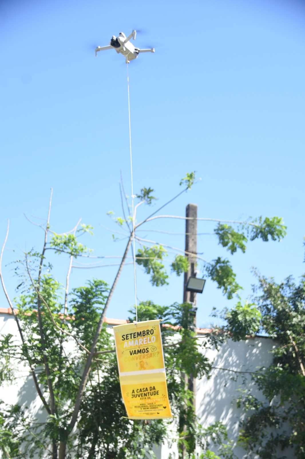 Foto: Clarildo Menezes