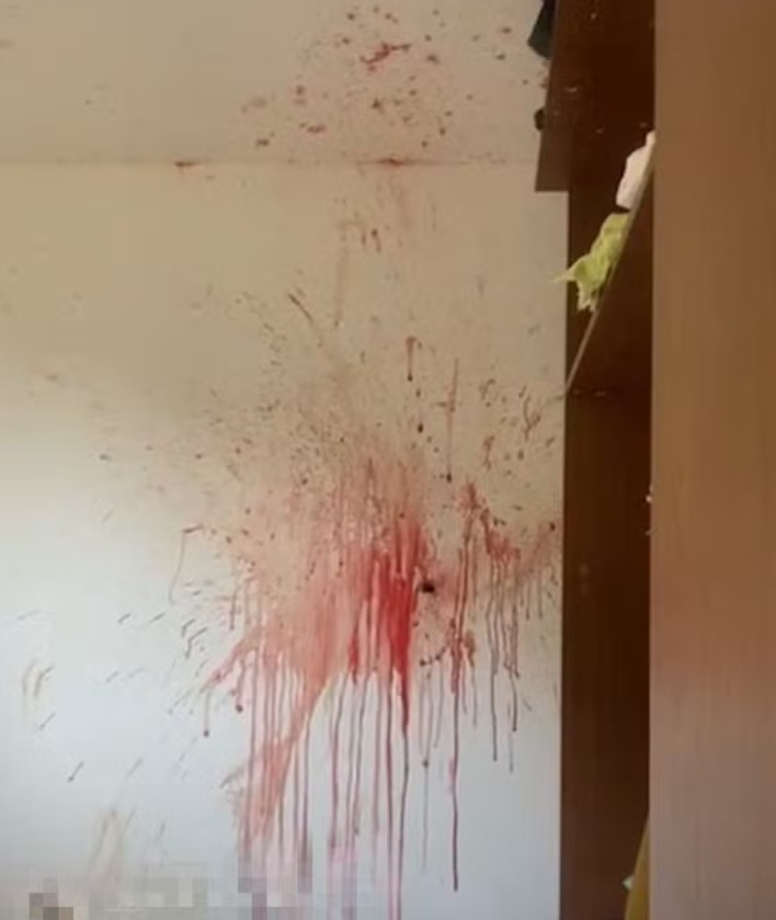 Parede da resid&ecirc;ncia/Foto: Reprodu&ccedil;&atilde;o