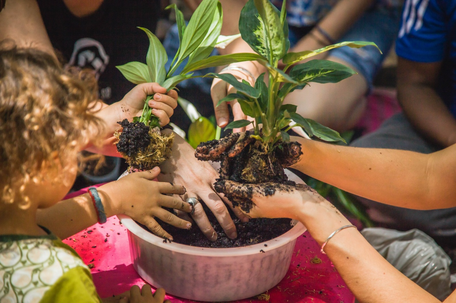 Cr&eacute;ditos da imagem: divulga&ccedil;&atilde;o festival desapegue-se