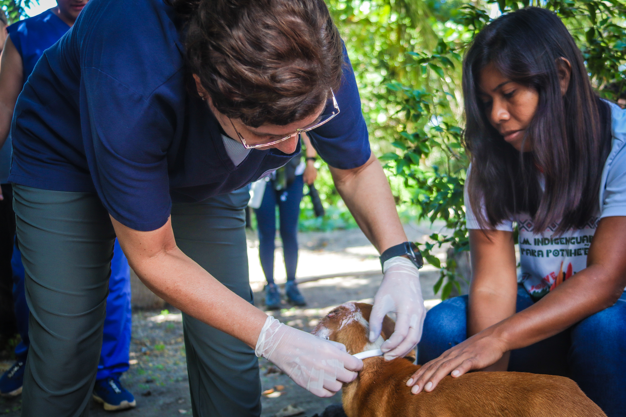 Foto: Cau&atilde; Santana