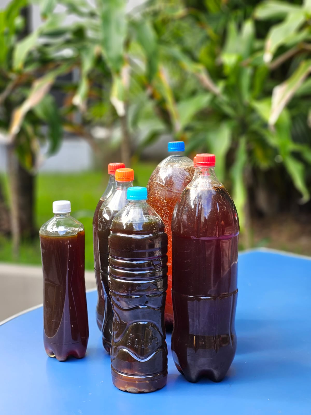 &Oacute;leo para destina&ccedil;&atilde;o correta/Foto: Divulga&ccedil;&atilde;o