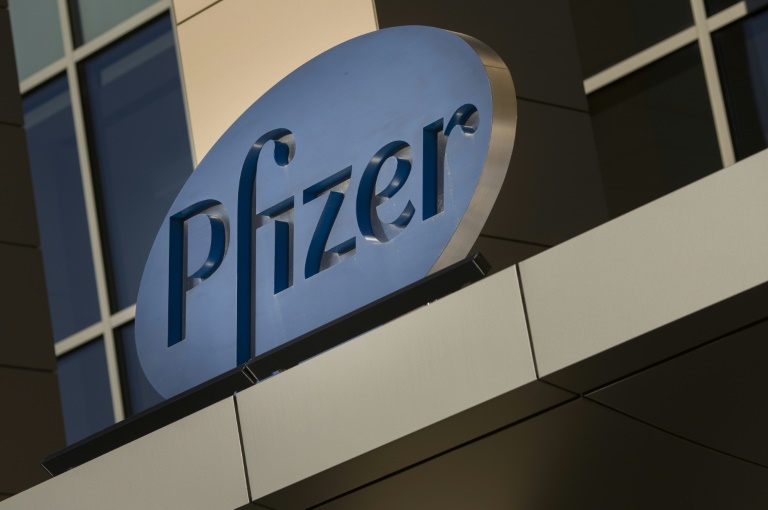 A Pfizer vai realizar os testes com o medicamento contra covid-19 no Brasil, Estados Unidos e Europa (Crédito: AFP/Arquivos)