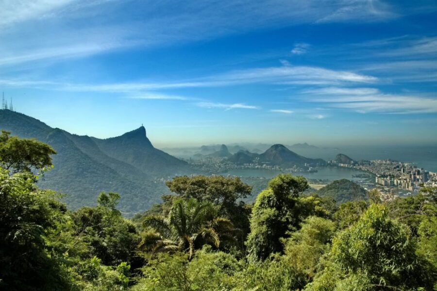 Mata Atlântica. Ao fundo, cidade do Rio de Janeiro. Foto: Dmitry V. Petrenko / Shutterstock.com