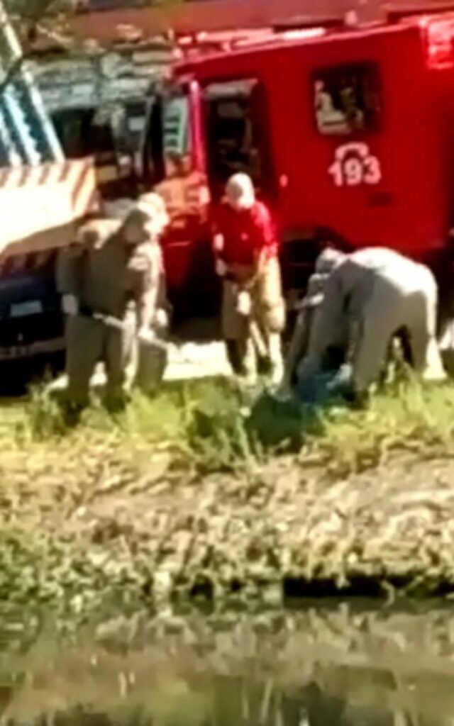 Bombeiros fizeram o resgate de vítima já sem vida. Foto: Reprodução